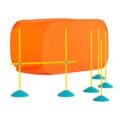 Best Cat Agility Training Equipment: Top Picks for Active Felines ...