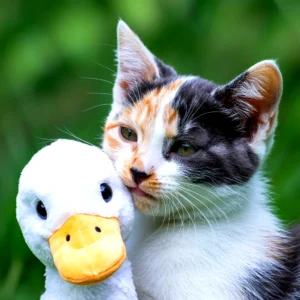 A calico cat cuddling a stuffed duck toy against a blurred green background